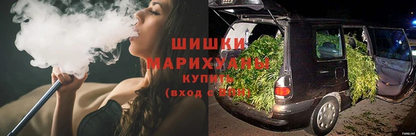 прущие грибы Коряжма