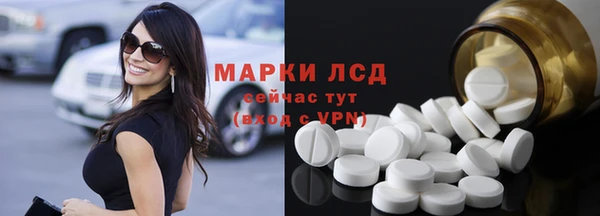 сатива Балахна