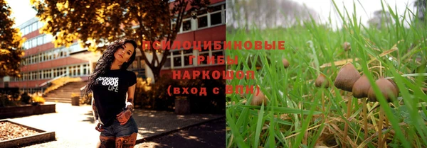 каннабис Арсеньев