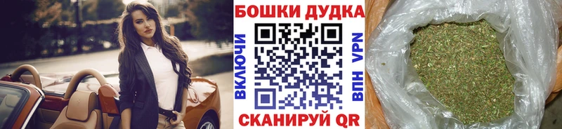 Марихуана план  Пудож 